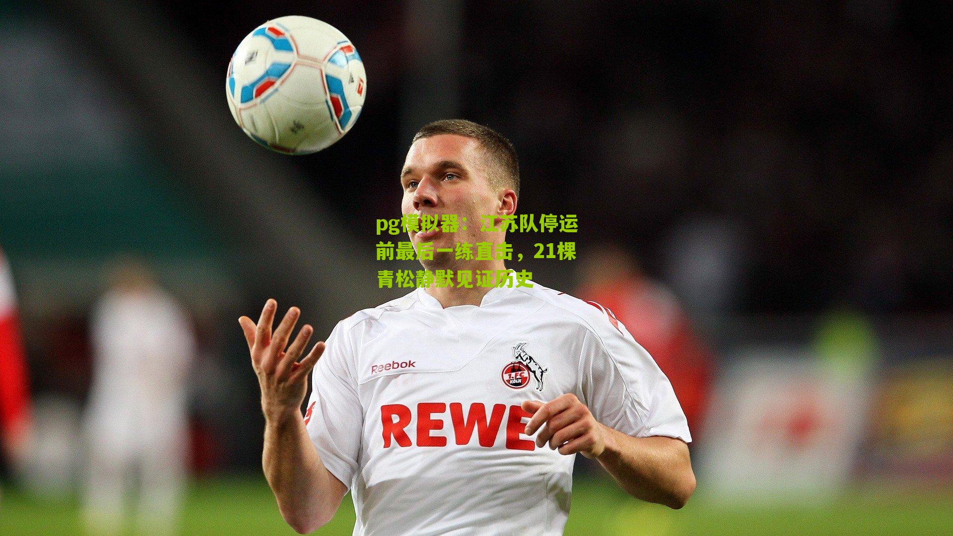 江苏队停运前最后一练直击,21棵青松静默见证历史